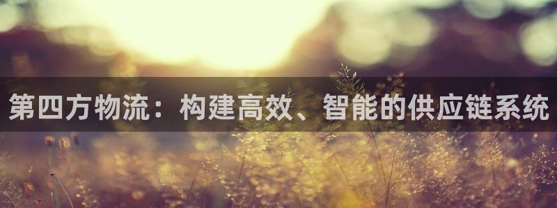tp钱包费用：第四方物流：构建高效、