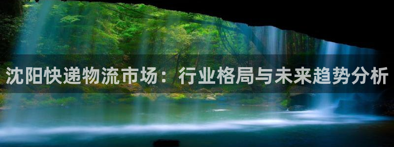 tp钱包如何提币：沈阳快递物流市场：