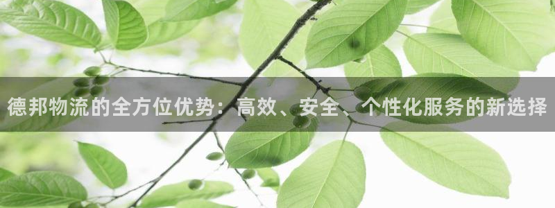 Tp钱包trx怎么购买：德邦物流的全