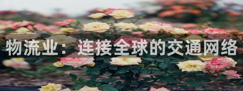 tp钱包好用吗