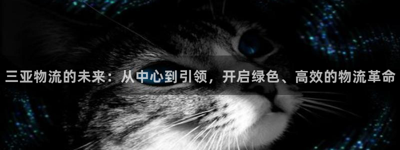 tp钱包如何创建bep20：三亚物流