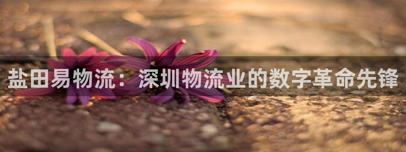 TP钱包下载和安装相关问题：盐田易物