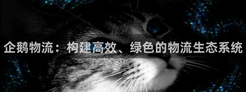tp钱包添加sol：企鹅物流：构建高