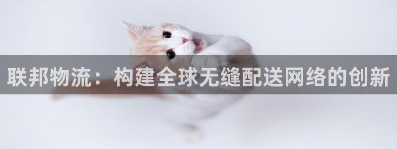 tp钱包苹果版