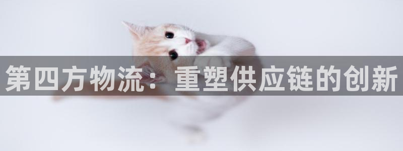 tp钱包中文版