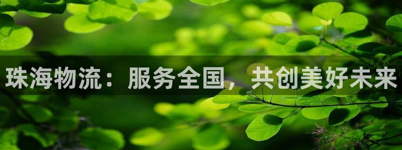 TP钱包登录ip查询：珠海物流：服务