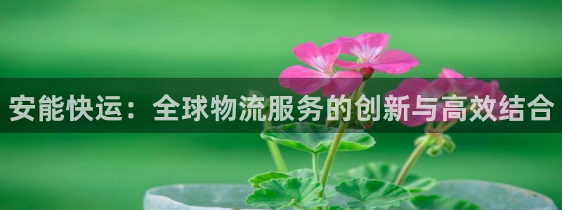 tp钱包进不去：安能快运：全球物流服