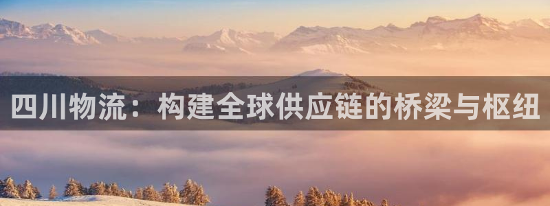 tp钱包登录会有ip地址吗：四川物流