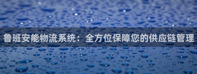 tp钱包怎么签名：鲁班安能物流系统：