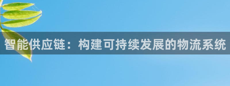 tp钱包怎么样安全吗可靠吗：智能供应