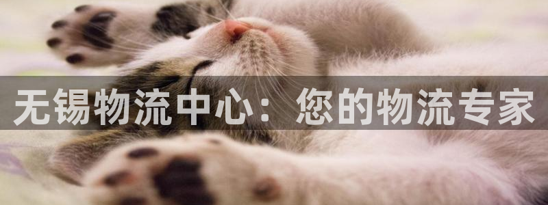 tptp下载安卓下载：无锡物流中心：