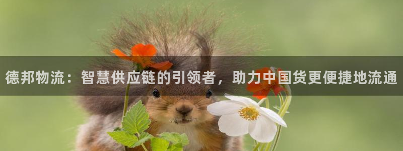 tp钱包怎么交易币：德邦物流：智慧供