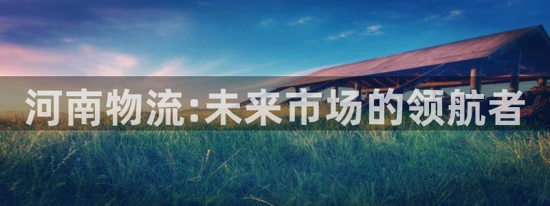 tp钱包下载：河南物流:未来市场的领