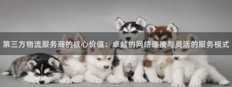 苹果手机tp钱包下载不了：第三方物流