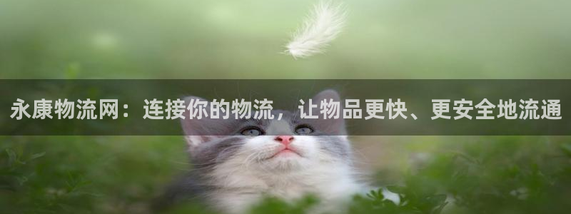 钱包tp下载：永康物流网：连接你的物