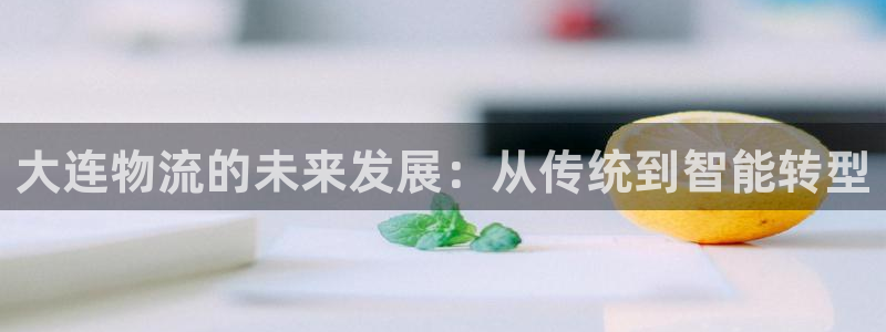 tp钱包全称：大连物流的未来发展：从