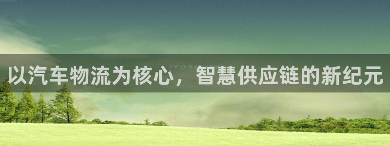 tp钱包可以转哪些币：以汽车物流为核