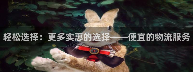 tp钱包好吗：轻松选择：更多实惠的选