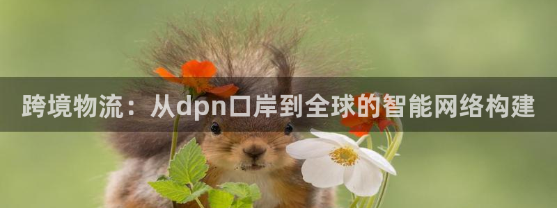 Tp钱包怎样下载：跨境物流：从dpn