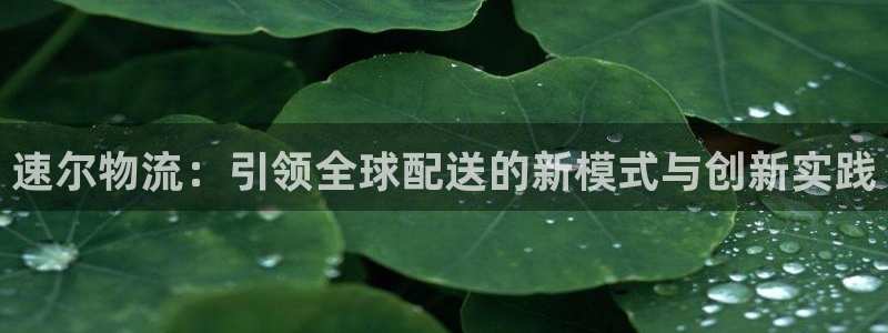 tp钱包怎么转人民币：速尔物流：引领
