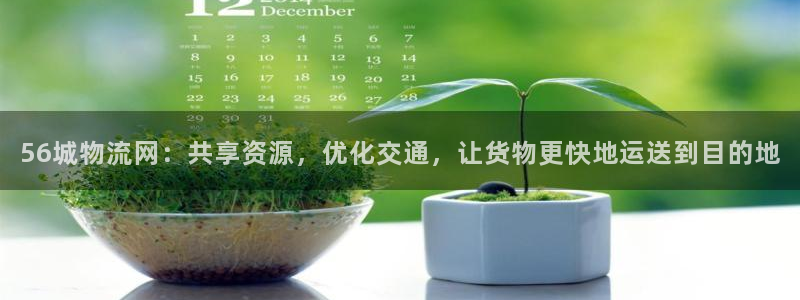 tp钱包卡了怎么办：56城物流网：共享资源，优化交通，让货物