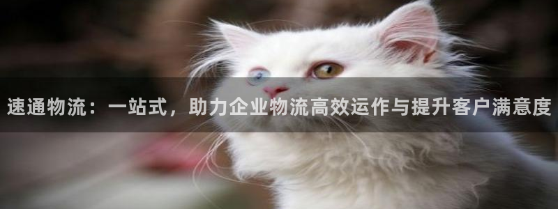 tp钱包转账地址不正确：速通物流：一