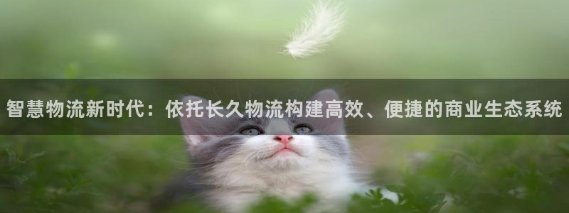 tp钱包xf：智慧物流新时代：依托长久物流构建高效、便捷的商