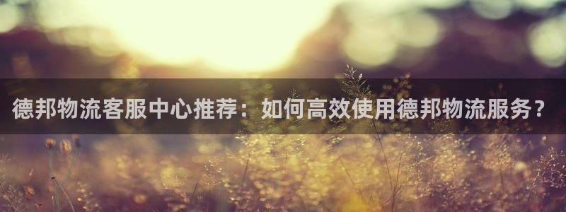 tp钱包app官方正版：德邦物流客服