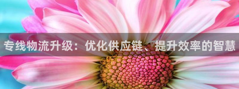 tp钱包BNB转到其他地址怎么追踪：
