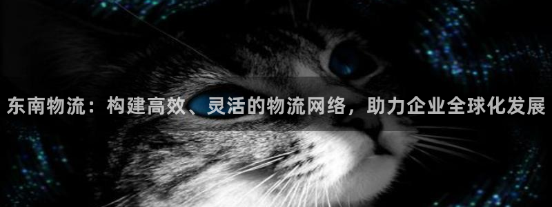 tp钱包操作视频：东南物流：构建高效