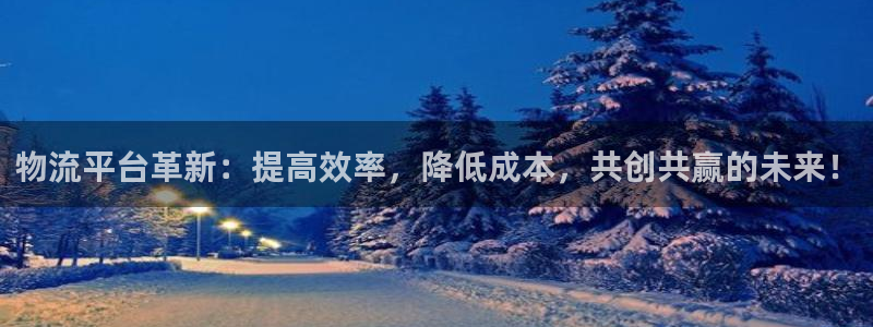 tp钱包添加usdt：物流平台革新：