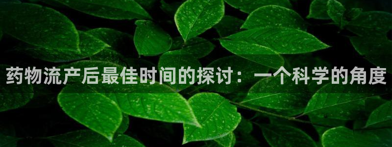 tp钱包app创建安装